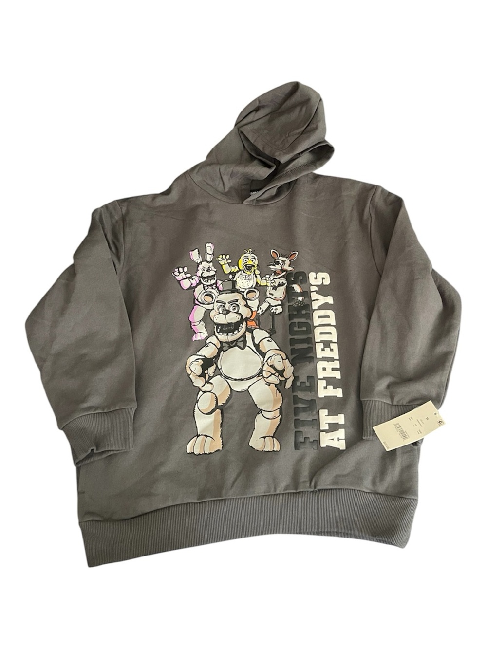 NWT Five Nights at Freddy’s Boys M Gray Graphic Hoodie FNAF